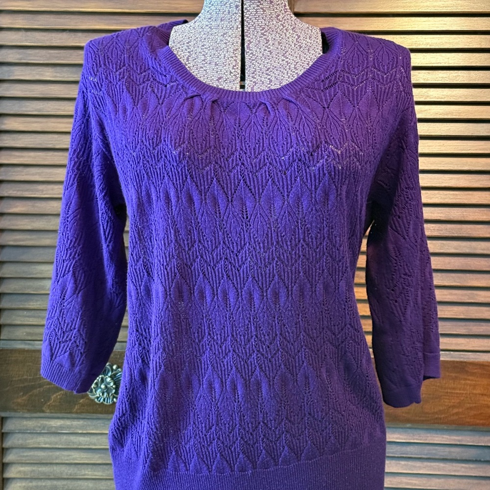 Fashion Bug Deep Purple Scoop Neck Sweater